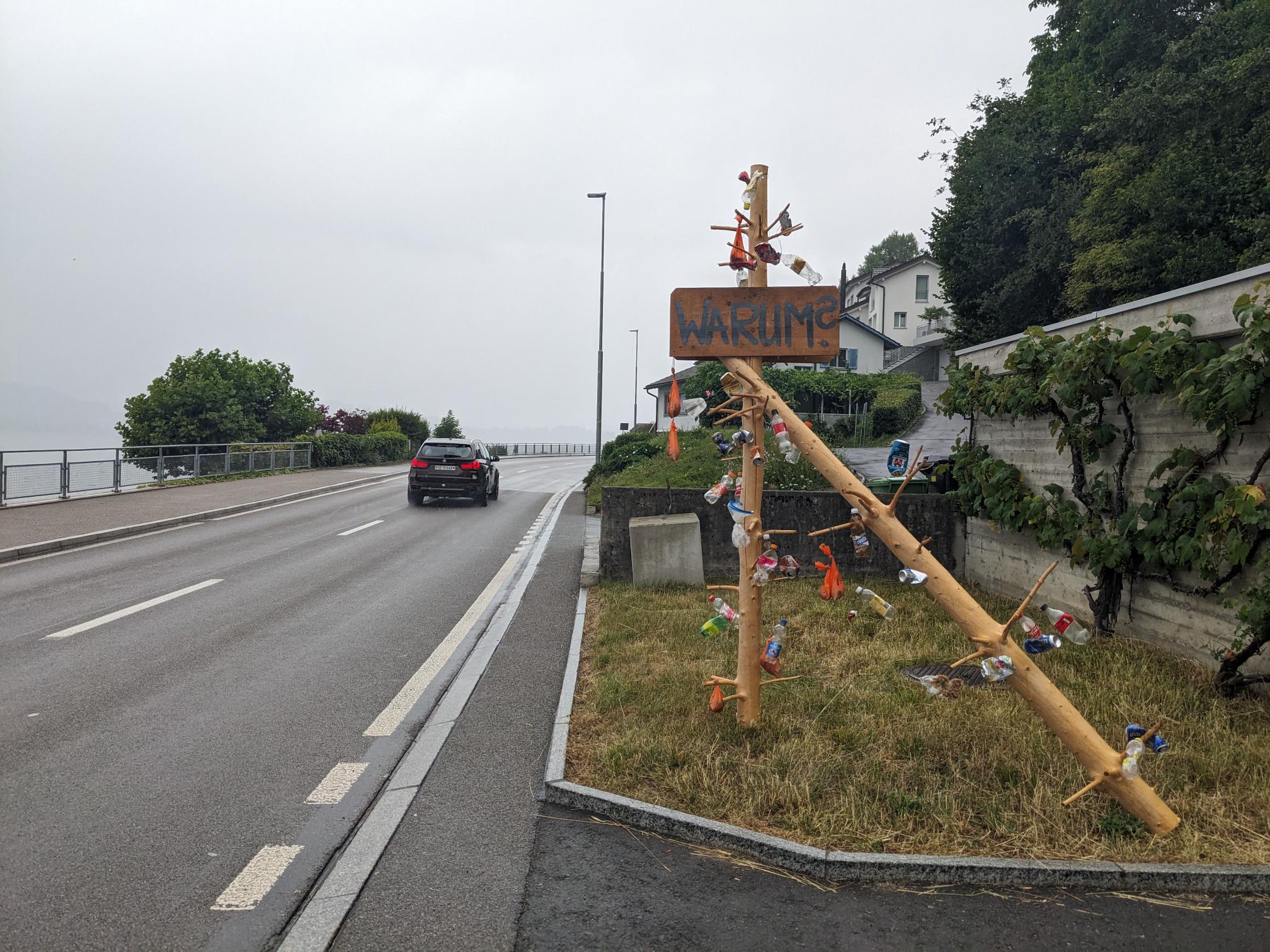 Güselbaum_Walchwil_1