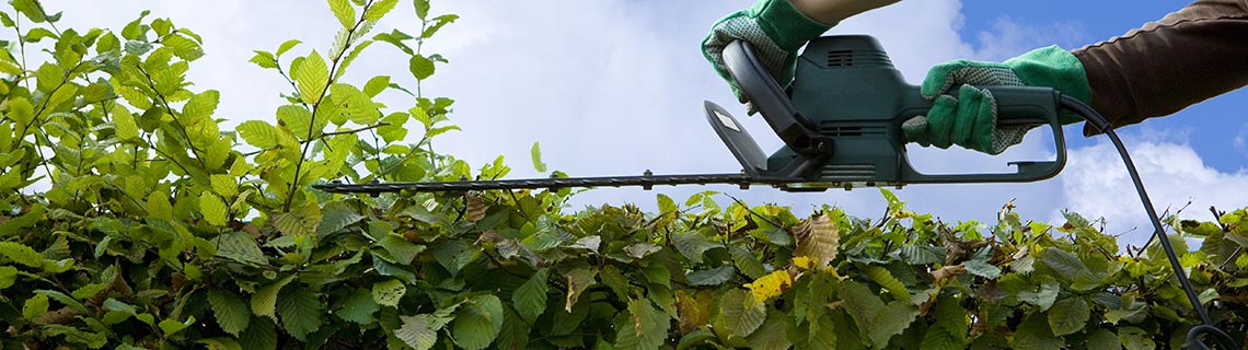 Bitte Hecken und Bäume zurückschneiden