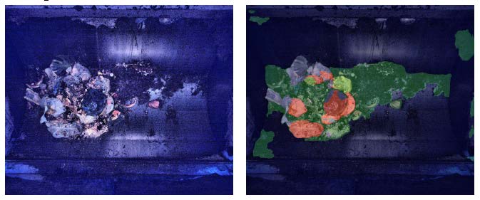 Hightech im Kampf gegen Fremdstoffe im Grüngut