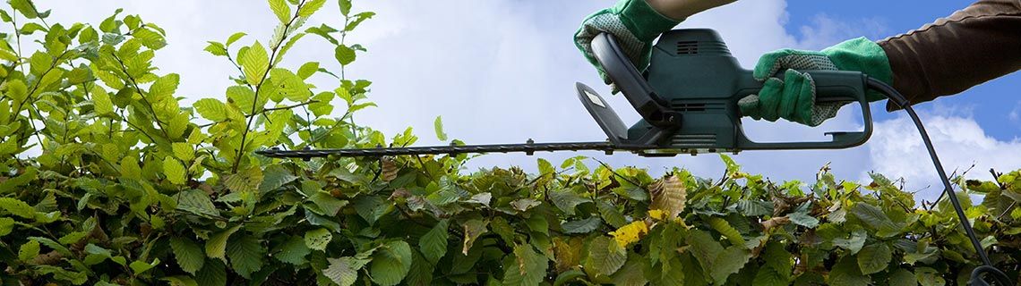 Bitte Hecken/Bäume zurückschneiden um Sichtbehinderungen zu vermeiden