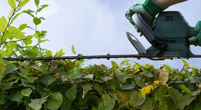 Bitte Hecken und Bäume zurückschneiden