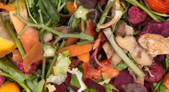 Reinigung von Grüngutcontainer